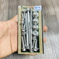 [SÁNG BÓNG] BỘ ỐC SALAYA INOX TRANG TRÍ CHI TIẾT ĐẦU LÒNG XE FUTURE NEO CAO CẤP (MẪU THÁI)
