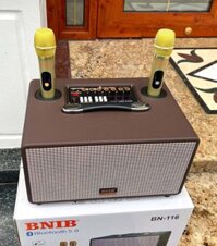 Sang trọng và đẳng cấp hơn với BNIB 116 loa bass 15