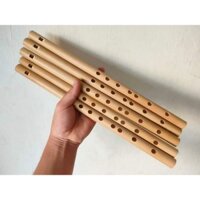 Sáo Dọc Chuyên Nghiệp CT1 - Đô(C5)