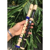 Sáo dọc - Recorder/ sáo dùng cho học sinh ,người mới chơi