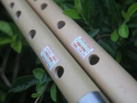 Sáo HD1