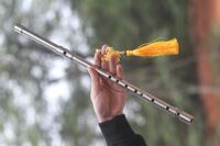 Sáo inox