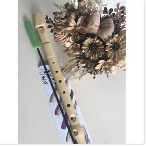 Sáo Recorder Melody Hohner B9508