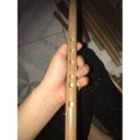 sáo trúc 6 lỗ