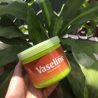 Sáp dưỡng ẩm Vaseline special 500g, lau đầu kim