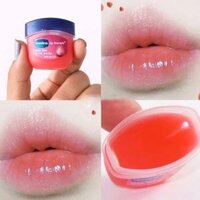 Sáp Dưỡng môi VASELINE 7g dạng hũ có màu và không màu