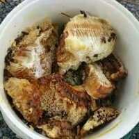 Sáp ong rừng nguyên chất