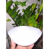 SÁP ONG TRẮNG LÀM ĐÈN CẦY 1KG( không  phải loại dẻo)
