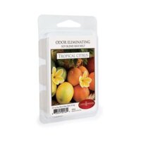 Sáp Thơm Khử Mùi Hương Trái Cây Nhiệt Đới YANKEE CANDLE WARMER MELTED WAX - TROPICAL CITRUS 70.9g