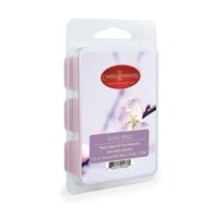 Sáp Thơm Khử Mùi YANKEE CANDLE WARMER MELTED WAX - LOVE SPELL 70.9g