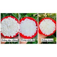 Sáp wax lông nóng Hard Bean - Trắng trong - 100gr