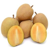 Sapoche (hồng xiêm) 1kg