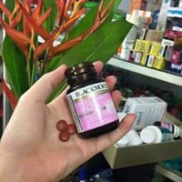 Sắt bầu Blackmore