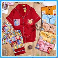 Satin viền túi hình gấu Pooh TNQD