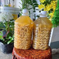 Sâu chít ủ rượu thơm BKNHVN-9011