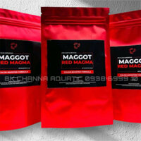 Sâu Maggot Red Magma (25g)