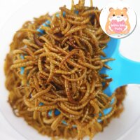 Sâu rang bơ thức ăn cho Hamster