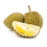 Sầu riêng hạt cơm sữa chín rụng tự nhiên