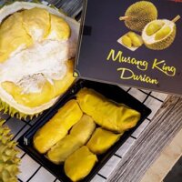 Sầu Riêng Musangking (Durian Musangking Malaysia) - Trái cây nhập khẩu Malaysia
