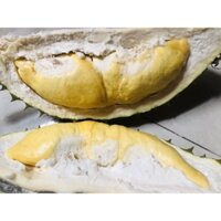 Sầu riêng Ri6 - Đạ Hoai - Lâm Đồng