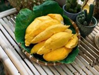 Sầu Riêng Ri6 Rụng Tây Ninh – Cơm Vàng, Hạt Lép, Giá Tốt Tại Vườn