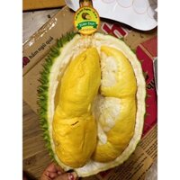 Sầu Riêng Sạch Ri6 - Cơm Vàng, hạt lép 80%