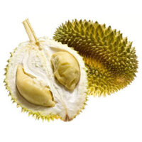 Sầu riêng sữa cơm vàng hạt lép Chín Hóa