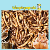 Sâu trung sấy khô bổ dưỡng - thức ăn: hamster, gà, chim cảnh, sóc bay... (dễ bảo quản)