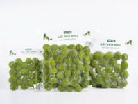 Sấu tươi cạo vỏ cấp đông, túi 500gr