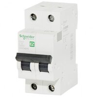 Schneider Aptomat 2 Pha 16A 20A 25A 32A 40A 50A 63A, Át tép , Cầu dao tự động,Attomat, MCB, CB tép Easy9 2P Schneider