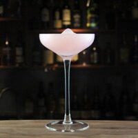 Schott Special Champagne Saucer - Ly Cocktail Thủy Tinh