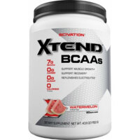 Scivation XTEND BCAA 90 servings