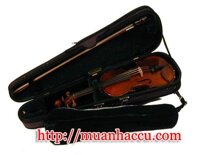 Scott Cao Violin STV-017CE