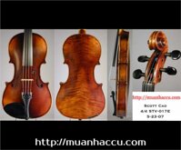 Scott Cao Violin STV - 017E