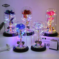 Sdjzt  Vỏ thủy tinh hoa hồng lá vàng Ngày hoa vĩnh cửu Trang trí quà tặng sáng tạo đang giảm giá