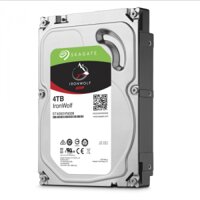 Seagate 4TB IronWolf ST4000VN008