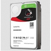 Seagate IronWolf PRO Ổ cứng chuyên dụng cho thiết bị lưu trữ mạng NAS Server ST6000NE0021 HDD 6TB