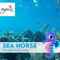 SEAHORSE ( ZOOLOGIST FRAGRANCE OIL)