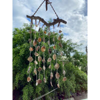 Seashell wind chimes  - Chuông gió vỏ sò treo trang trí nhà cửa