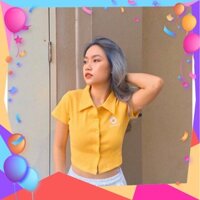 [Season 2020] Áo Croptop Hoa Cúc Có Cổ Kiểu P.O.L.O Cực Dễ Mix Đồ [FREESHIP ĐƠN 99K]