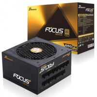 SEASONIC FOCUS PLUS FX-650 (650W 80 Plus Gold)