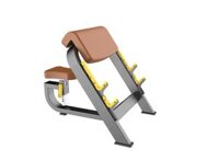 Seated Preacher Curl Ghế tập tay trước TM-F44