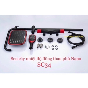 Sen cây massage Hàn Quốc SC34