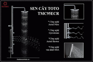Sen tắm nhiệt độ đa năng ToTo TMC95ECR
