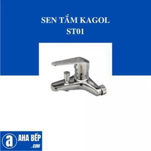 Sen cây nóng lạnh Roland ST01