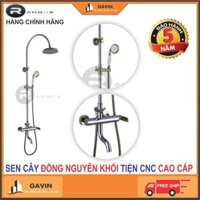 Sen cây sen cay sen tắm đứng cao cấp mạ vàng Rangos RG-315B