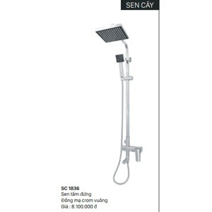 Sen cây tắm Bancoot SC-1836