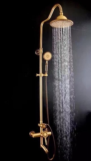 Sen cây tắm Cleanmax 9738