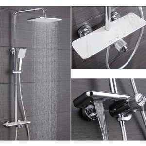 Sen cây Teady SC125