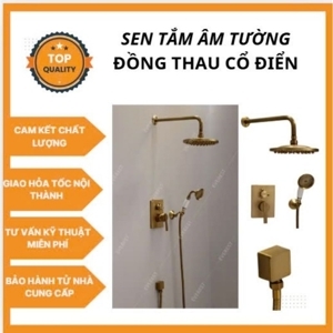 Sen Tắm Âm Tường EV-1109